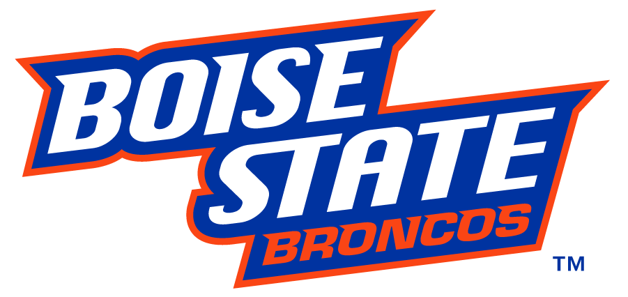 Boise State Broncos 2012-2013 Wordmark Logo v3 t shirts iron on transfers